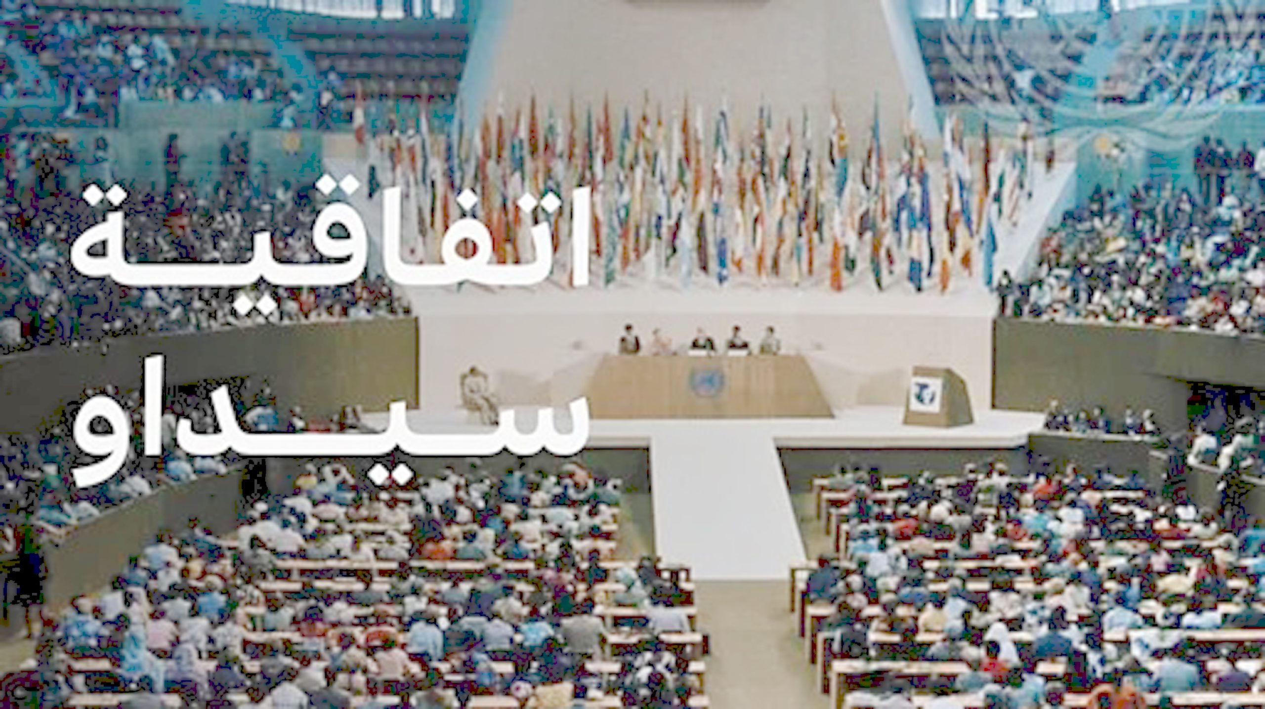 عن إتفاقية سيداو cedaw 1979 و مآلاتها